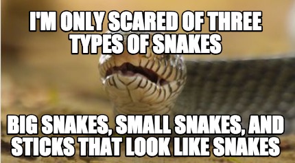 im-only-scared-of-three-types-of-snakes-big-snakes-small-snakes-and-sticks-that-