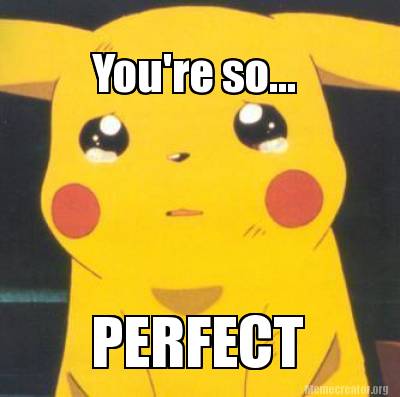 youre-so...-perfect