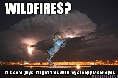 Meme Creator - Funny WILDFIRES? It's cool guys, I'll get ...