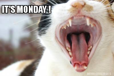 Meme Creator Funny It S Monday Meme Generator At Memecreator Org