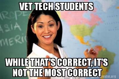 vet-tech-students-while-thats-correct-its-not-the-most-correct