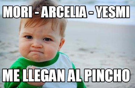 Meme Creator Funny MORI ARCELIA YESMI ME LLEGAN AL PINCHO Meme