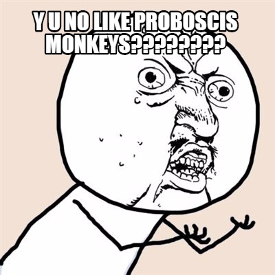 Meme Creator Funny Y U No Like Proboscis Monkeys Meme