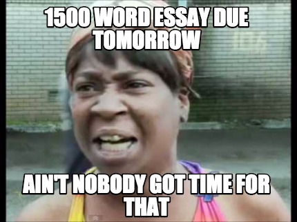 200 word essay meme