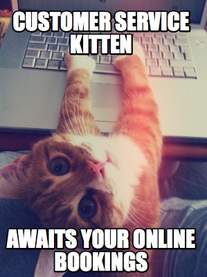customer-service-kitten-awaits-your-online-bookings