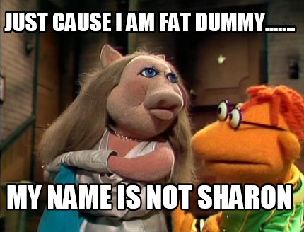 just-cause-i-am-fat-dummy.......-my-name-is-not-sharon