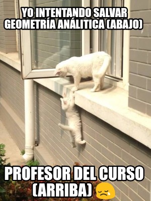 Meme Creator Funny Yo Intentando Salvar Geometr A An Litica Abajo