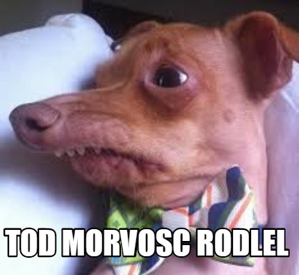 Meme Creator Funny Tod Morvosc Rodlel Meme Generator At Memecreator Org