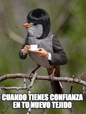 Meme Creator Funny Cuando Tienes Confianza En Tu Nuevo Tejido Meme