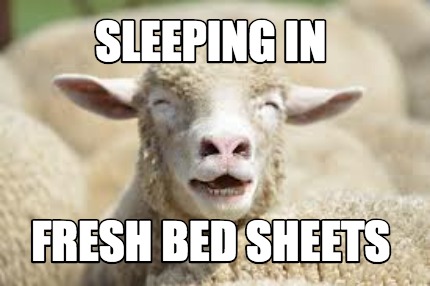 sleeping-in-fresh-bed-sheets