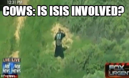 cows-is-isis-involved