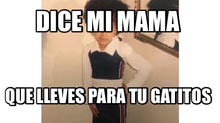 Meme Creator Funny Dice Mi Mama Que Lleves Para Tu Gatitos Meme