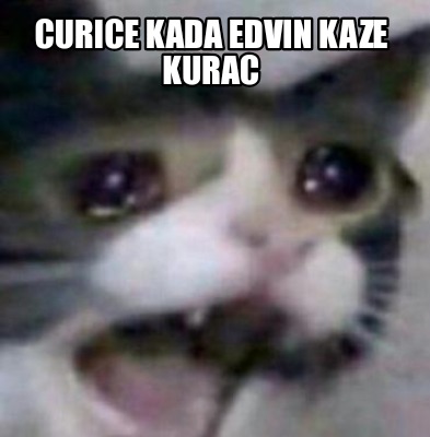 Meme Creator Funny Curice Kada Edvin Kaze Kurac Meme Generator At