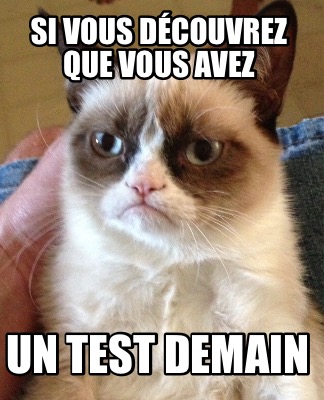 Meme Creator Funny Si vous découvrez que vous avez Un test demain