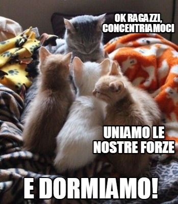 Meme Creator Funny Ok Ragazzi Concentriamoci Uniamo Le Nostre Forze