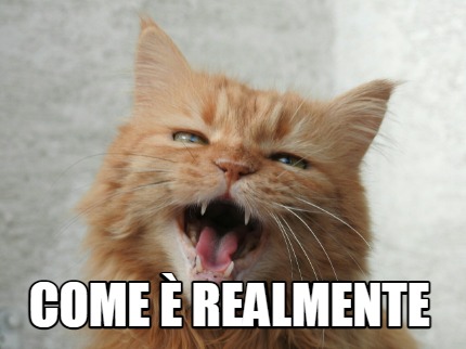 Meme Creator Funny COME è REALMENTE Meme Generator at MemeCreator org