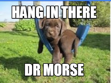 Meme Creator Funny Hang In There Dr Morse Meme Generator At