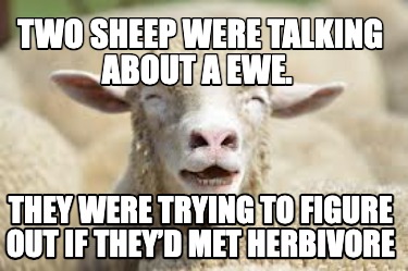 two-sheep-were-talking-about-a-ewe.-they-were-trying-to-figure-out-if-theyd-met-