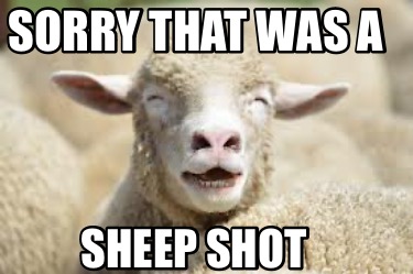 sorry-that-was-a-sheep-shot