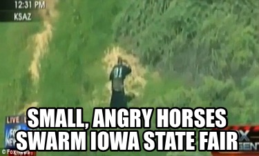 small-angry-horses-swarm-iowa-state-fair