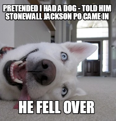 pretended-i-had-a-dog-told-him-stonewall-jackson-po-came-in-he-fell-over