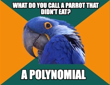 what-do-you-call-a-parrot-that-didnt-eat-a-polynomial