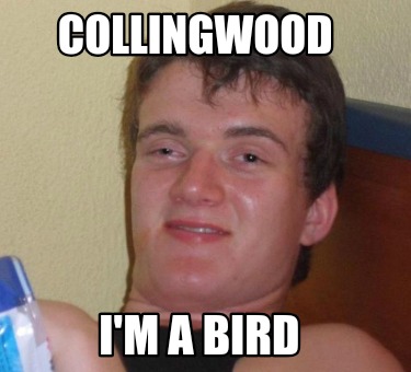 collingwood-im-a-bird