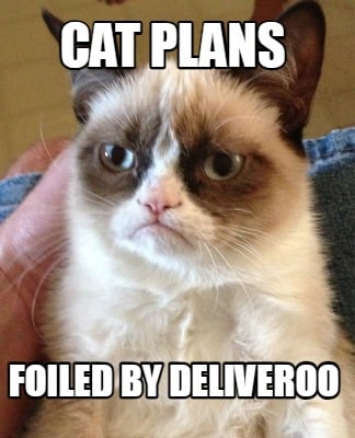 cat-plans-foiled-by-deliveroo