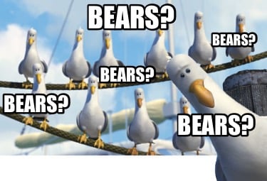 bears-bears-bears-bears-bears
