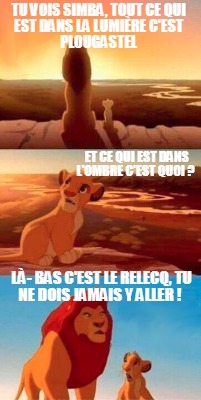 Meme Creator Funny Tu vois Simba tout ce qui est dans la lumière c