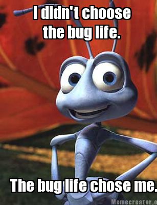 i-didnt-choose-the-bug-life.-the-bug-life-chose-me
