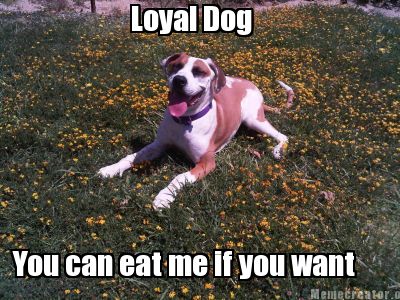 Meme Creator - Funny Loyal Dog You can eat me if you want Meme ...