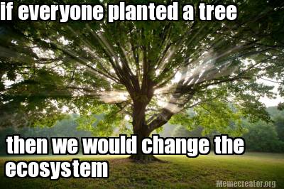 if-everyone-planted-a-tree-then-we-would-change-the-ecosystem