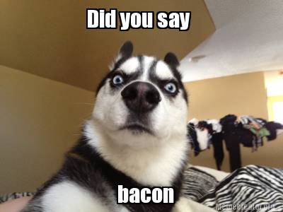 Meme Creator - Funny Did you say bacon Meme Generator at MemeCreator.org!