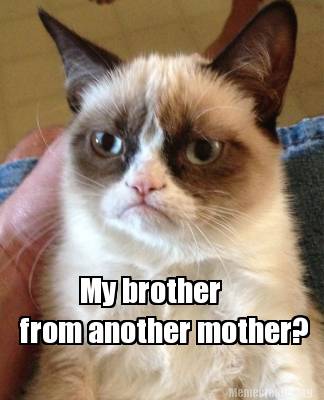 Meme Creator - Funny My brother from another mother? Meme Generator at ...