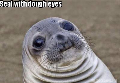 Meme Creator - Funny Seal with dough eyes Meme Generator at MemeCreator ...