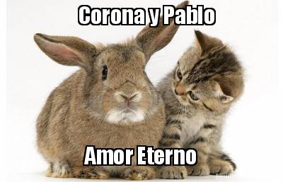 corona-y-pablo-amor-eterno