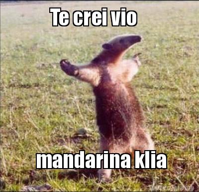 Meme Creator - Funny Te crei vio mandarina klia Meme Generator at  MemeCreator.org!