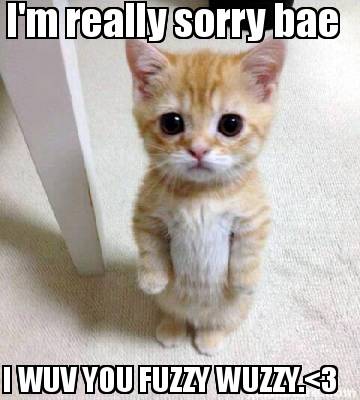 Meme Creator - Funny I'm really sorry bae I WUV YOU FUZZY WUZZY.