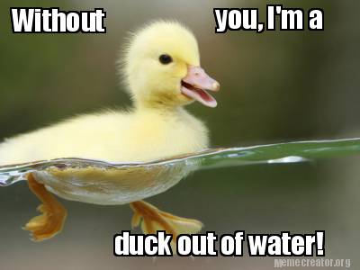 without-you-im-a-duck-out-of-water