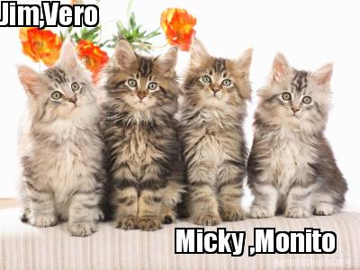 jimvero-micky-monito