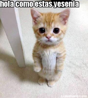 Meme Creator - Funny hola como estas yesenia Meme Generator at  !