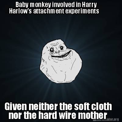 Meme Creator Funny Baby Monkey Involved In Harry Harlow S Attachment Experiments Given Neither The Meme Generator At Memecreator Org