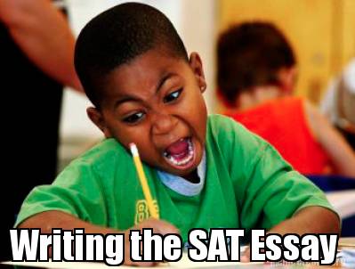 write an argumentative essay for or against viewing sports figures and celebrities as positive role models. << read less stylesnormal