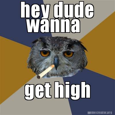 Meme Creator - Funny hey dude wanna get high Meme Generator at ...