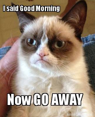 Meme Creator - Funny I said Good Morning Now GO AWAY Meme Generator at ...