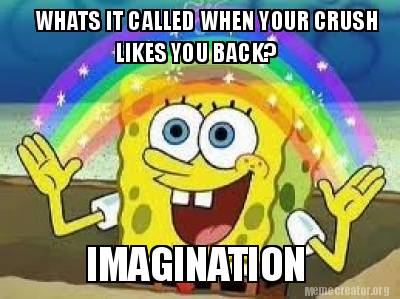 Meme Creator - Funny WHATS IT CALLED WHEN YOUR CRUSH LIKES YOU BACK ...