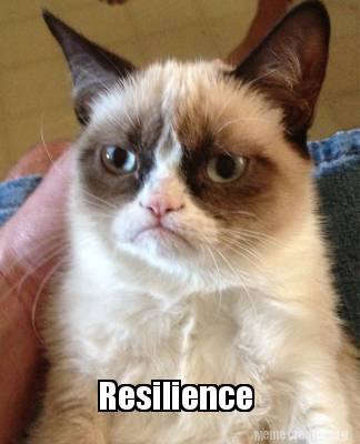 Meme Creator - Funny Resilience Meme Generator at MemeCreator.org!