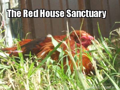 Meme Creator - Funny The Red House Sanctuary Meme Generator at ...