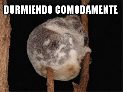 durmiendo-comodamente